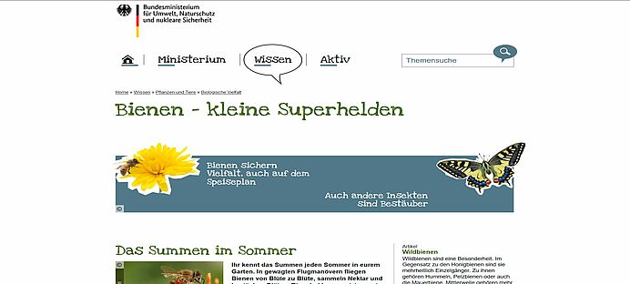 https://www.bmu-kids.de/wissen/pflanzen-und-tiere/biologische-vielfalt/bienen/