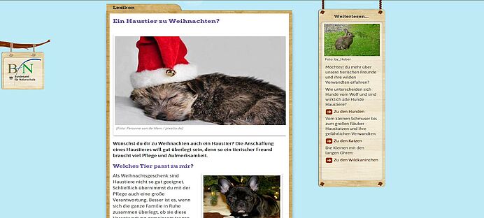 https://naturdetektive.bfn.de/lexikon/jahreszeiten/winter/ein-haustier-zu-weihnachten.html